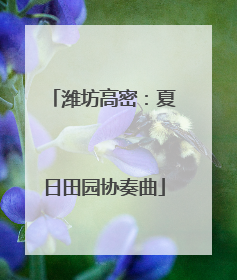 潍坊高密：夏日田园协奏曲