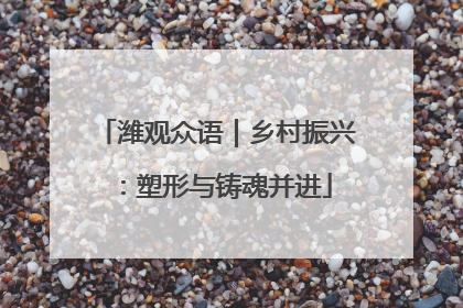 潍观众语｜乡村振兴：塑形与铸魂并进