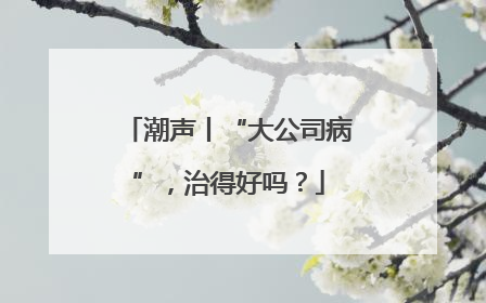 潮声丨“大公司病”，治得好吗？