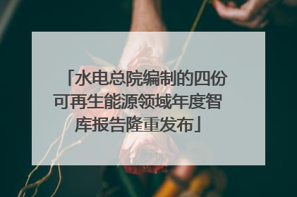 水电总院编制的四份可再生能源领域年度智库报告隆重发布