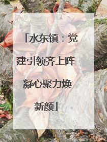 水东镇：党建引领齐上阵 凝心聚力焕新颜