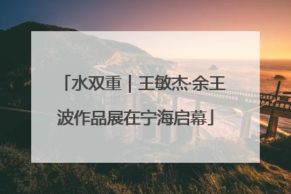 水双重｜王敏杰·余王波作品展在宁海启幕