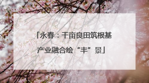 永春：千亩良田筑根基 产业融合绘“丰”景