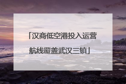 汉商低空港投入运营 航线覆盖武汉三镇