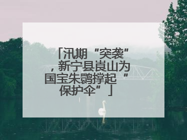 汛期“突袭”，新宁县崀山为国宝朱鹮撑起“保护伞”