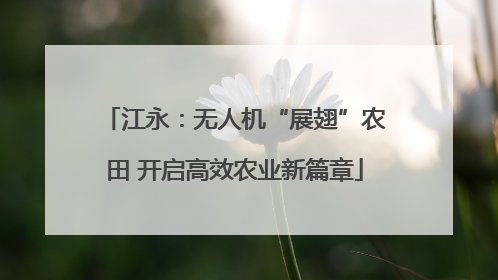 江永：无人机“展翅”农田 开启高效农业新篇章