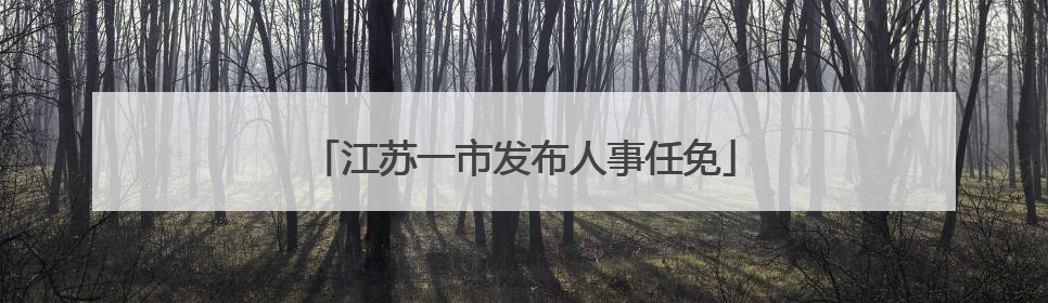 江苏一市发布人事任免