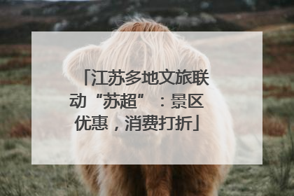 江苏多地文旅联动“苏超”：景区优惠，消费打折