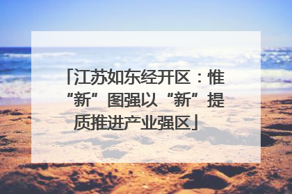 江苏如东经开区：惟“新”图强以“新”提质推进产业强区