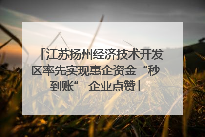 江苏扬州经济技术开发区率先实现惠企资金“秒到账” 企业点赞
