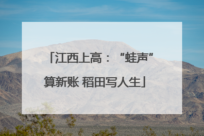 江西上高：“蛙声”算新账 稻田写人生
