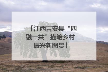 江西吉安县“四融一共”描绘乡村振兴新图景