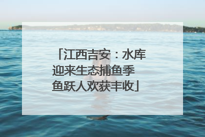 江西吉安：水库迎来生态捕鱼季 鱼跃人欢获丰收