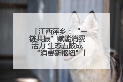 江西萍乡：“三链共振”赋能消费活力 生态五陂成“消费新枢纽”