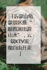 沂蒙山龟蒙景区推“跟着演出游山水”，云端KTV实现自由开麦