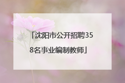 沈阳市公开招聘358名事业编制教师