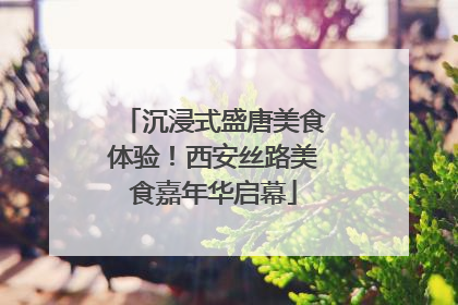 沉浸式盛唐美食体验！西安丝路美食嘉年华启幕