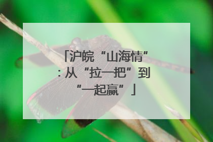 沪皖“山海情”：从“拉一把”到“一起赢”
