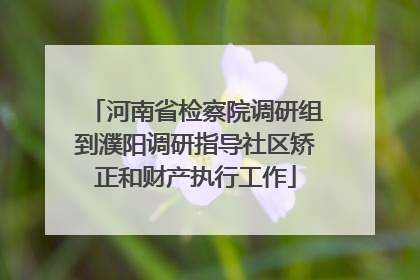 河南省检察院调研组到濮阳调研指导社区矫正和财产执行工作