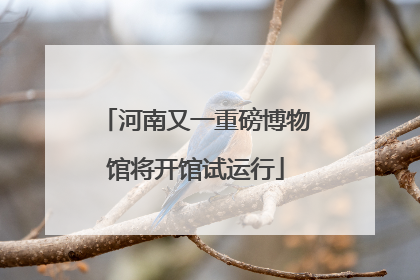 河南又一重磅博物馆将开馆试运行