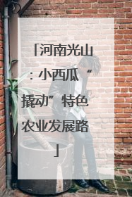 河南光山：小西瓜“撬动”特色农业发展路