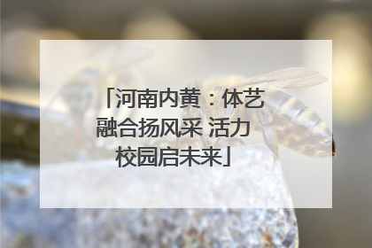 河南内黄：体艺融合扬风采 活力校园启未来