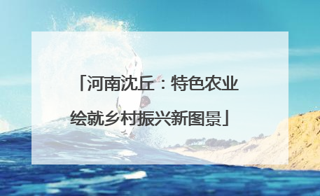 河南沈丘：特色农业绘就乡村振兴新图景
