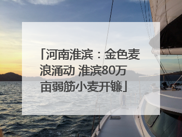 河南淮滨：金色麦浪涌动 淮滨80万亩弱筋小麦开镰