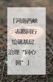 河南西峡：志愿同行 绘就基层治理“同心圆”