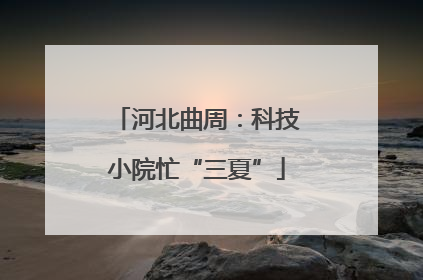 河北曲周：科技小院忙“三夏”