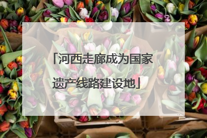 河西走廊成为国家遗产线路建设地
