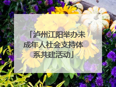 泸州江阳举办未成年人社会支持体系共建活动
