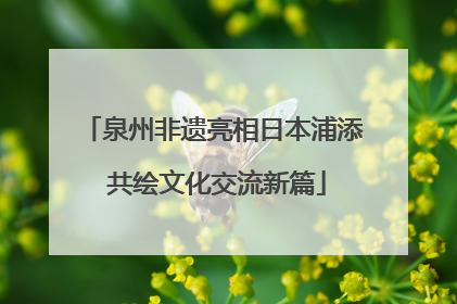 泉州非遗亮相日本浦添 共绘文化交流新篇