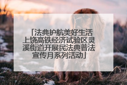 法典护航美好生活 上饶高铁经济试验区灵溪街道开展民法典普法宣传月系列活动