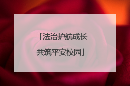 法治护航成长 共筑平安校园