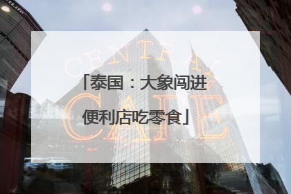 泰国：大象闯进便利店吃零食