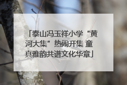 泰山冯玉祥小学“黄河大集”热闹开集 童真雅韵共谱文化华章