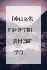 泰山区供销社赴宁阳、滨州调研学习