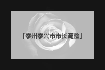 泰州泰兴市市长调整