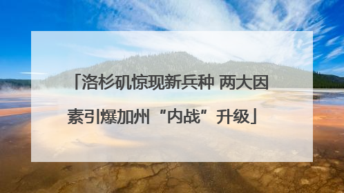 洛杉矶惊现新兵种 两大因素引爆加州“内战”升级