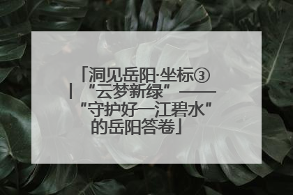 洞见岳阳·坐标③丨“云梦新绿”——“守护好一江碧水”的岳阳答卷