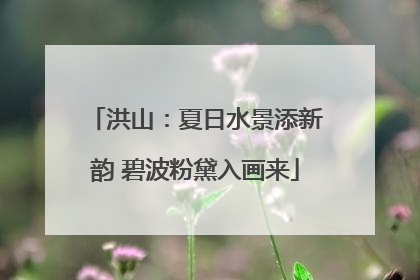 洪山：夏日水景添新韵 碧波粉黛入画来