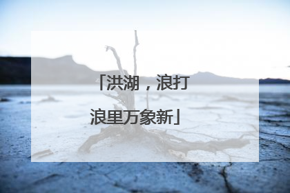 洪湖，浪打浪里万象新