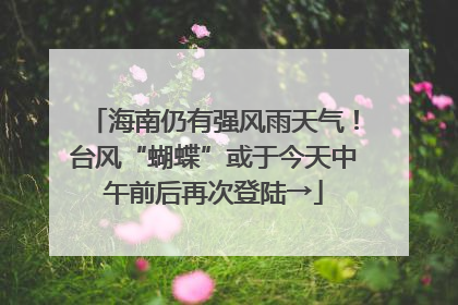 海南仍有强风雨天气！台风“蝴蝶”或于今天中午前后再次登陆→