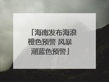 海南发布海浪橙色预警 风暴潮蓝色预警