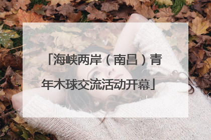 海峡两岸（南昌）青年木球交流活动开幕