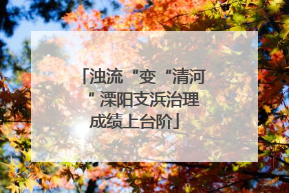 浊流“变“清河“ 溧阳支浜治理成绩上台阶