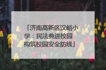济南高新区汉峪小学：民法典进校园 构筑校园安全防线