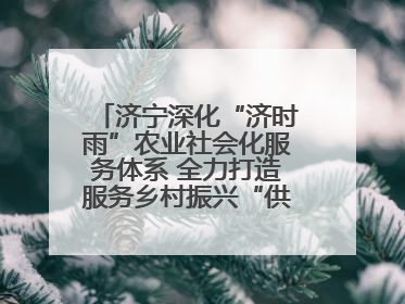 济宁深化“济时雨”农业社会化服务体系 全力打造服务乡村振兴“供销样板”