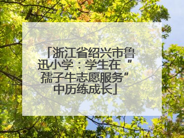浙江省绍兴市鲁迅小学：学生在“孺子牛志愿服务”中历练成长